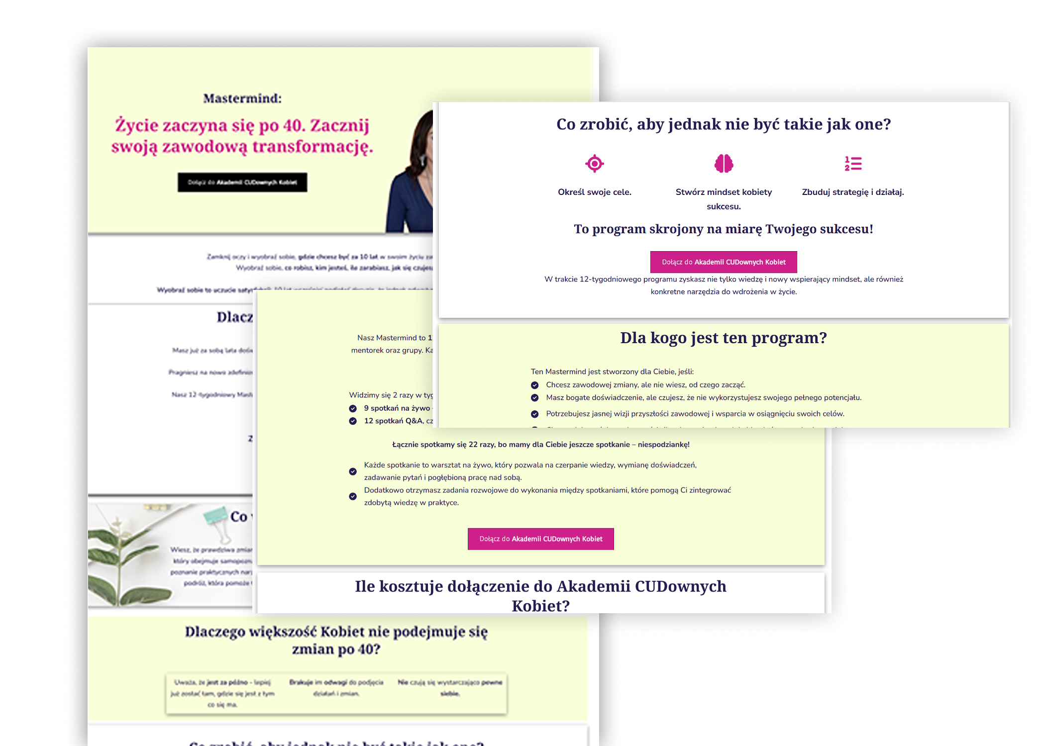 Lekki Biznes Online tworzenie landing page